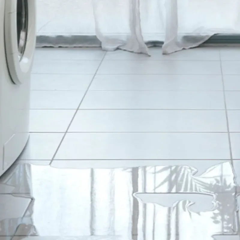 Appliance Leak Cleanup in Eaton Rapids, MI