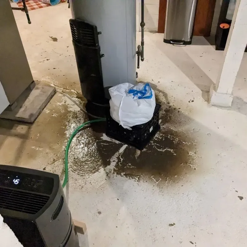 Sewage Backup Cleanup Service in Eaton Rapids, MI